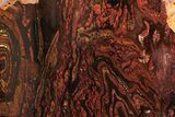 Free-Standing Polished Tiger Iron Stromatolite - Ga #222121-1